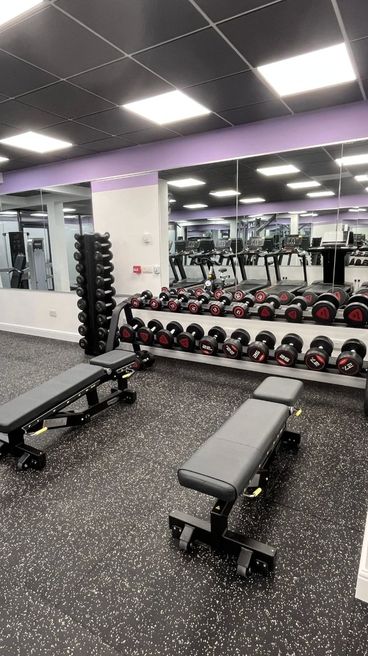 A full dumbbell rack with flat and adjustable benches in front of mirrors